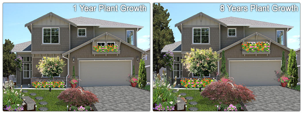 visualize plant growth and spacing