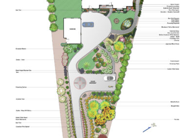 Tropical Sample Landscape Plan